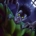 Nightmare : Marvel Masterpieces 2024