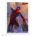 NAHUEL GREGO SPIDER-MAN PRINT-NEW YORK COMIC CON 2026 EXCLUSIVE!